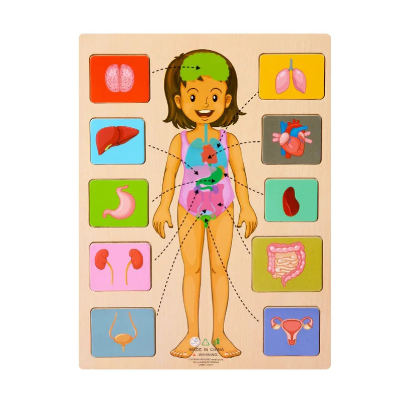 BodyMatch - Image 6