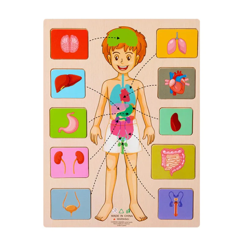 BodyMatch - Image 8