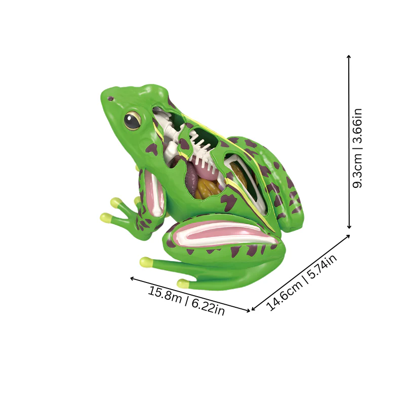 FrogScope - Image 2