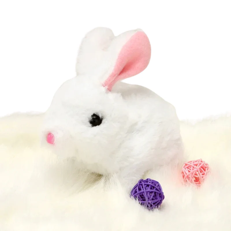 HoppyPal - Image 4