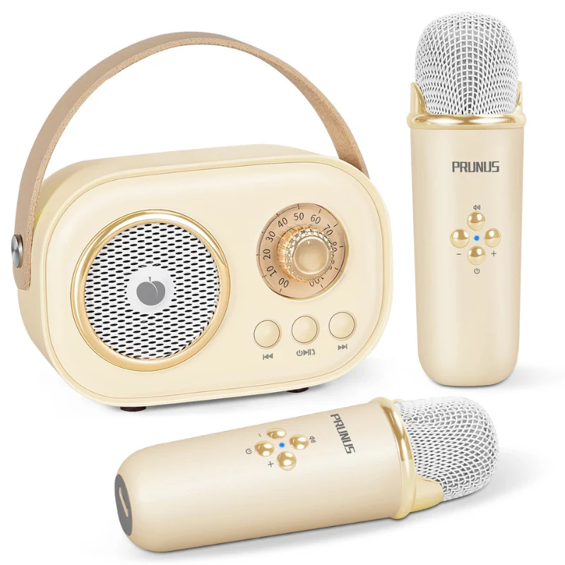 SingPlay - Image 3