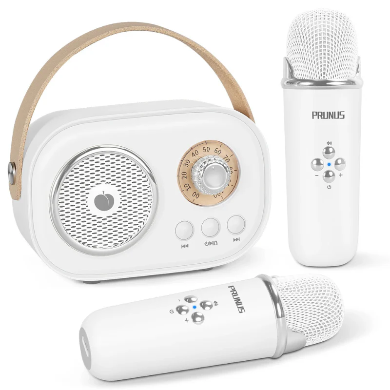 SingPlay - Image 6